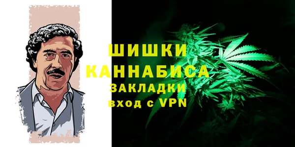первитин Богородицк