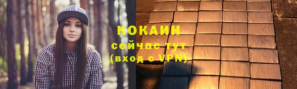 прущие грибы Богородск