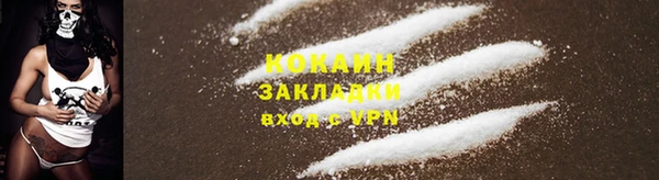 первитин Богородицк