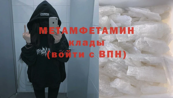 прущие грибы Богородск