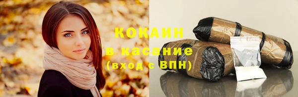 прущие грибы Богородск