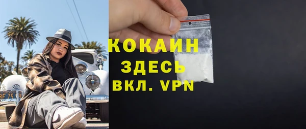 прущие грибы Богородск