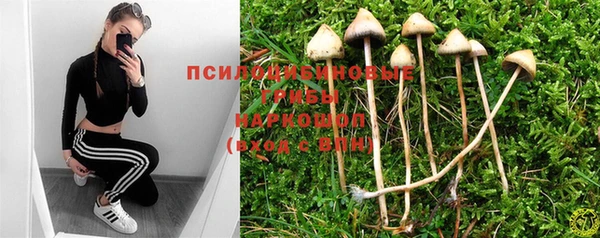 первитин Богородицк