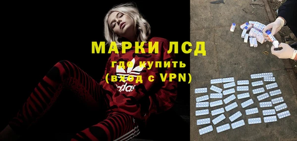 прущие грибы Богородск