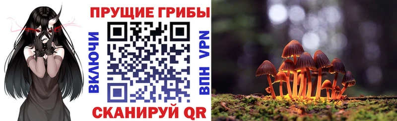 omg tor  Новохопёрск  Галлюциногенные грибы Magic Shrooms 